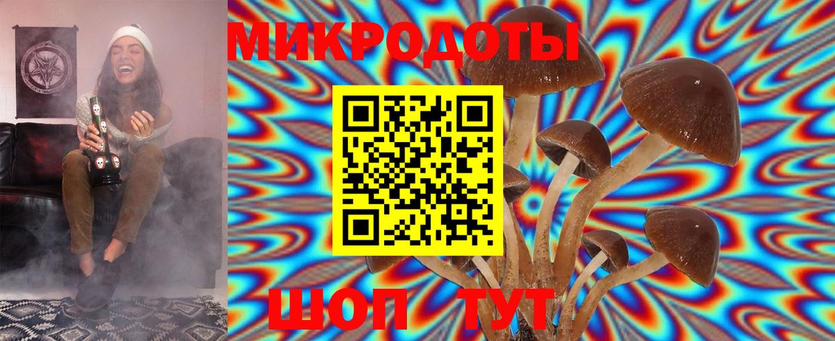 Псилоцибиновые грибы GOLDEN TEACHER  Вход с VPN  Курганинск 